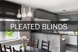 Pleated Blinds